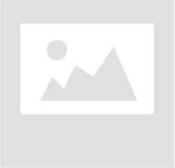 國(guó)道黑大線天臺(tái)橋改造工程勝利通車